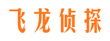 大悟侦探